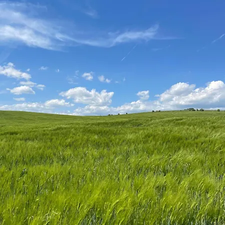 Sklipek U Terezky Dolní Bojanovice
